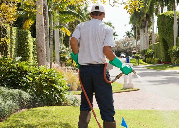 About Lublin WI Pest Control
